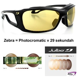 Športna očala Julbo Zebra 4343114