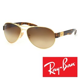 Ženska sončna očala Ray Ban 3509