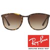 Sončna očala Ray Ban RB 4299