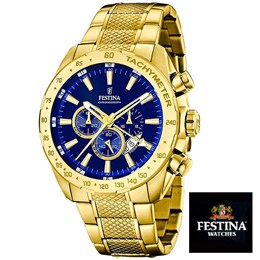 Moška ura Festina F16878/3